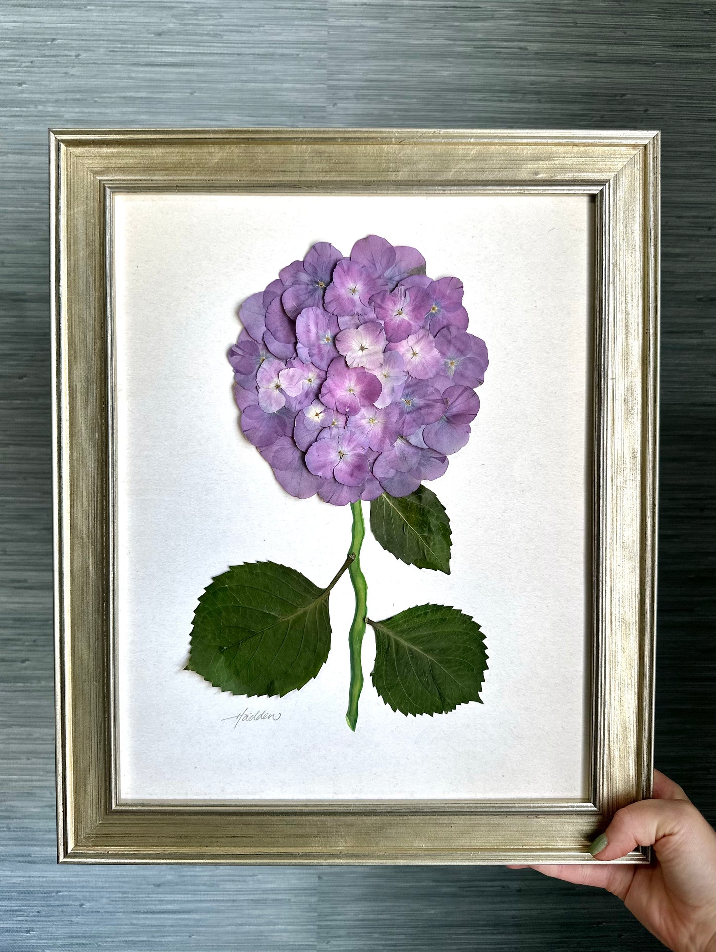 Original Pressed Hydrangea VII/VII
