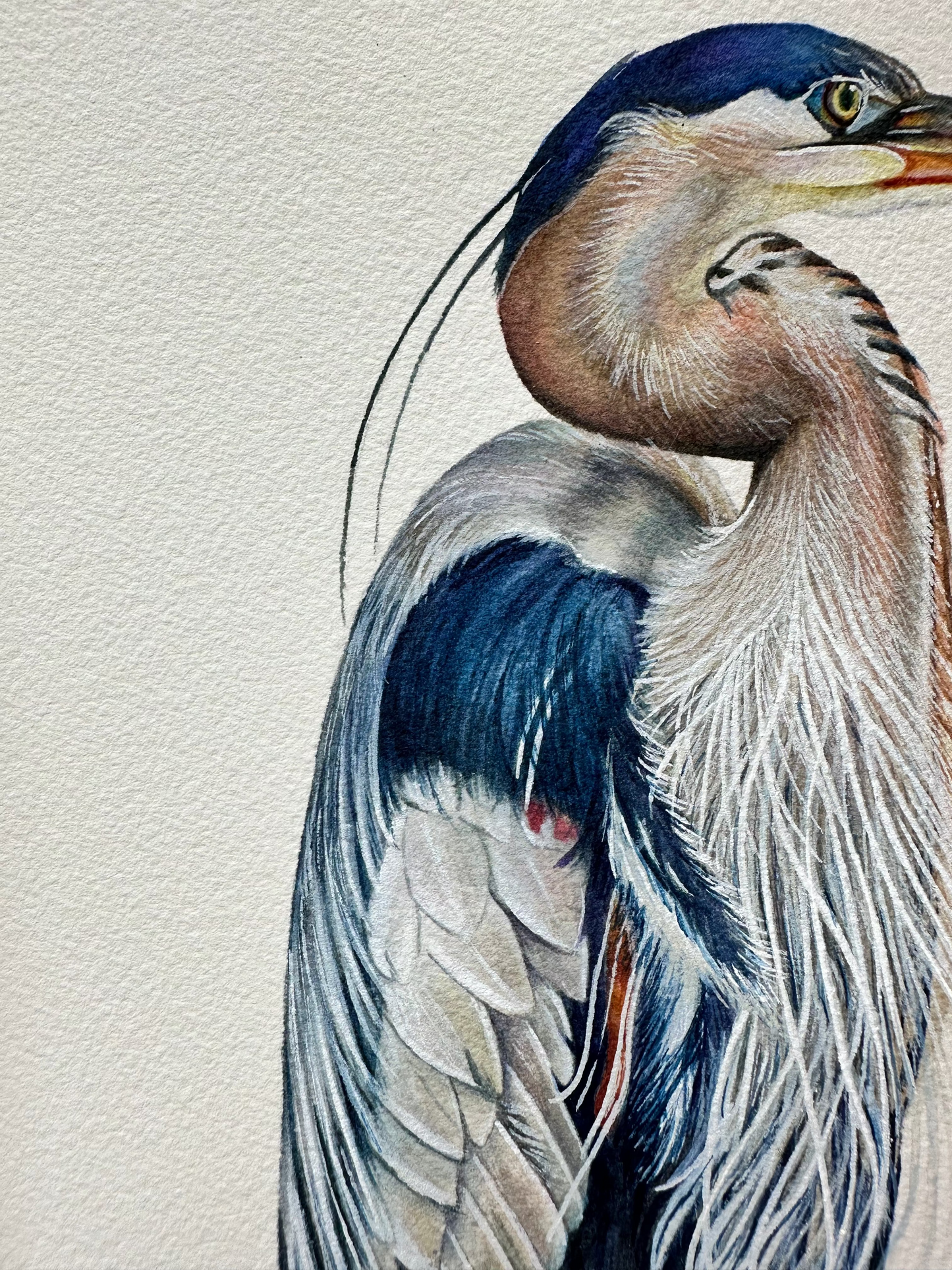 Original Great Blue Heron