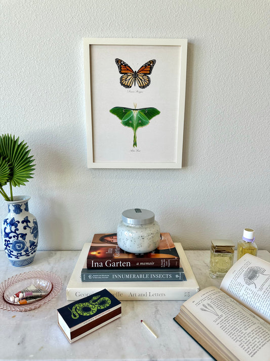 Monarch Butterfly + Luna Moth Print