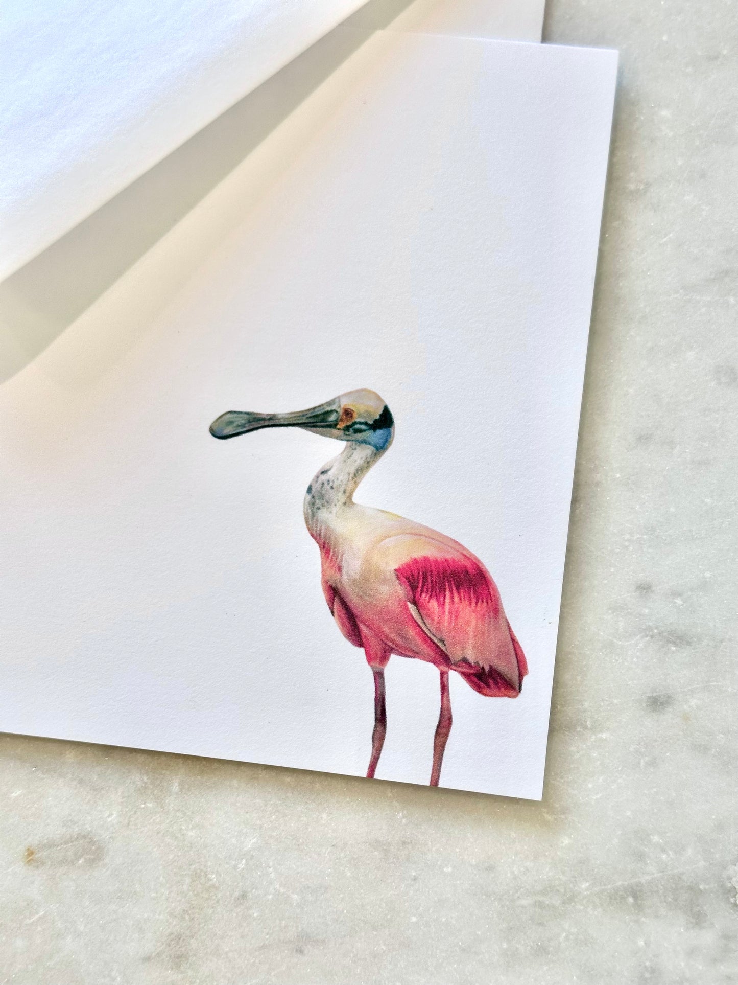 Roseate Spoonbill Stationery Set