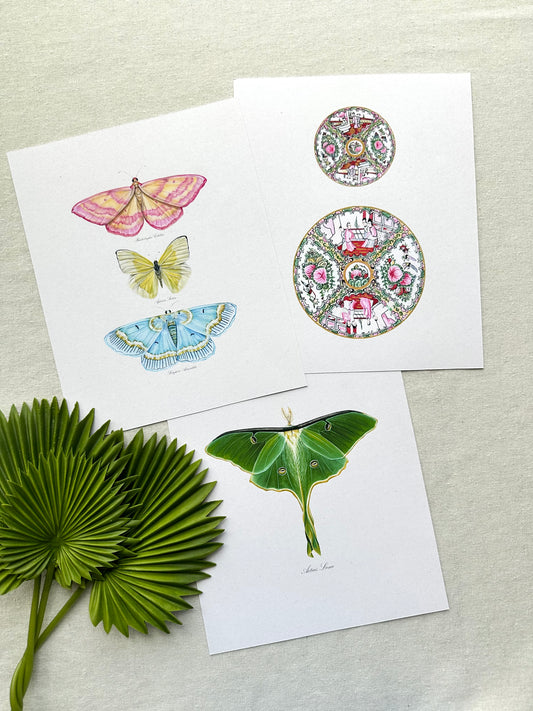 S+M Rose Medallion Print