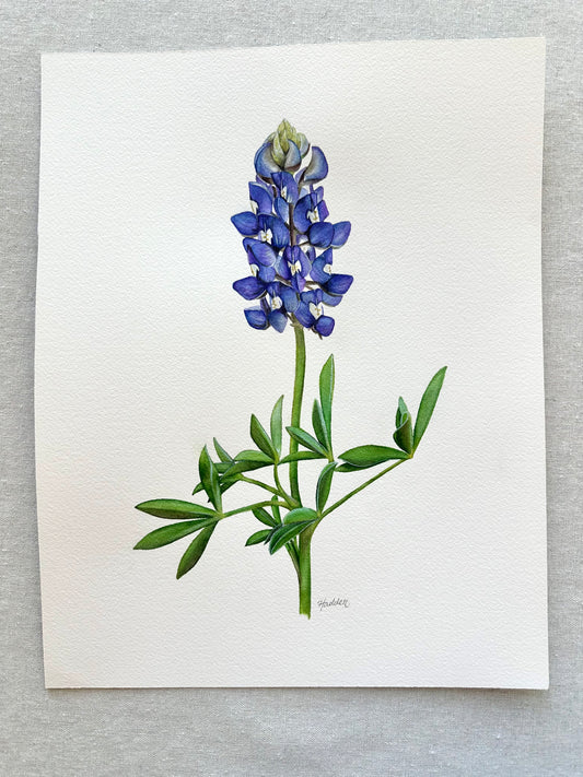 Texas Bluebonnet | Original Painting