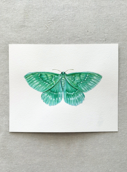 Emerald Moth | Original Painting