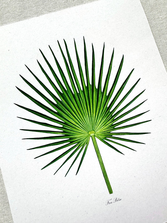Fan Palm Print