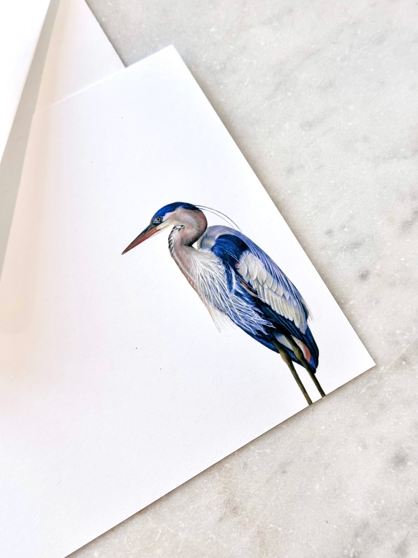 Great Blue Heron Stationery Set