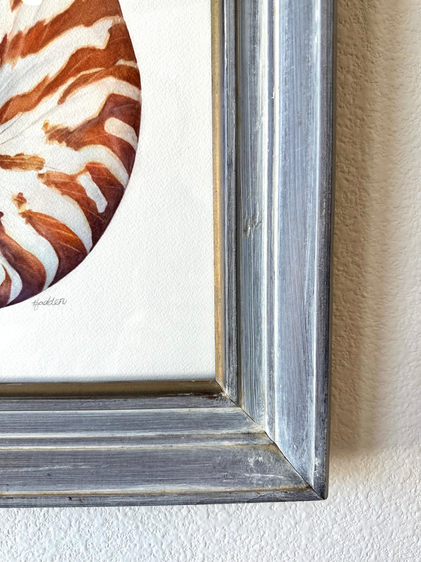 Framed Watercolor Nautilus Shell | Original Painting